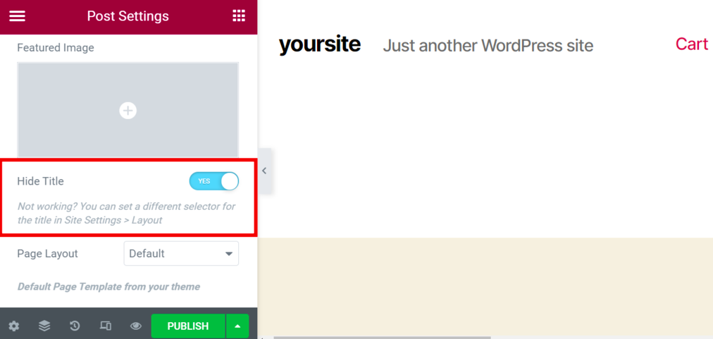 how to hide page title in wordpress 1