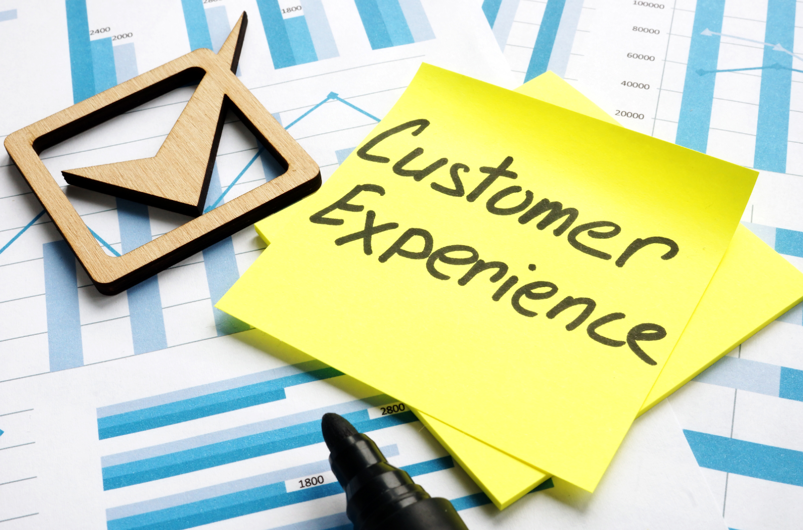 local-shopify-expert-1